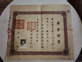 1952年上海师范学校毕业证书 详情见图