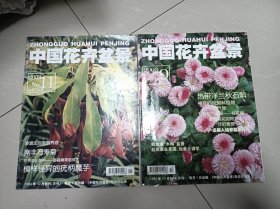 中国花卉盆景，2003年，2期合售