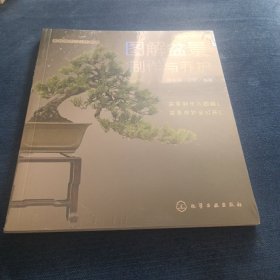 图解盆景制作与养护