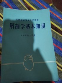 解剖学基本知识