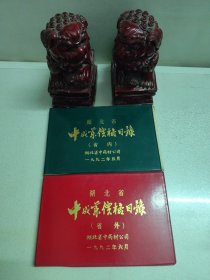 中成药价格目录（省内）十中成药价格目录（省外）两本合售