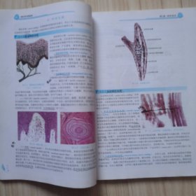 组织学与胚胎学(案例版,第3版) 二手书