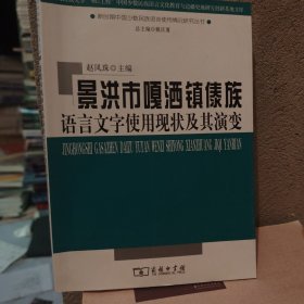 景洪市嘎洒镇傣族语言文字使用现状及其演变