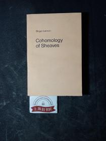 Cohomology of Sheaves（层的上同调）