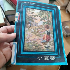 小夏蒂 外国儿童文学丛书