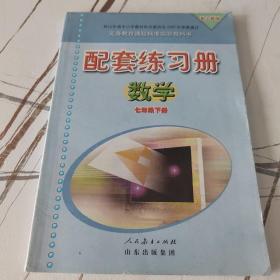 人教版七年级下册数学配套练习册