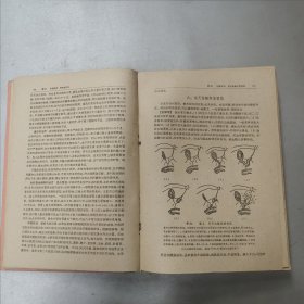 W 1960年北京 人民卫生出版社出版 诸福棠主编 《实用儿科学》 下卷 一厚册！！！