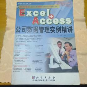 Excel+Access公司数据管理实例精讲（双色印刷）