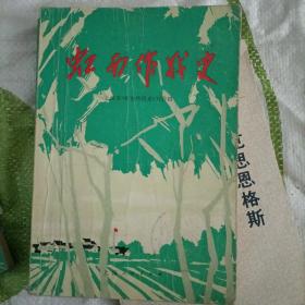 虹南作战史