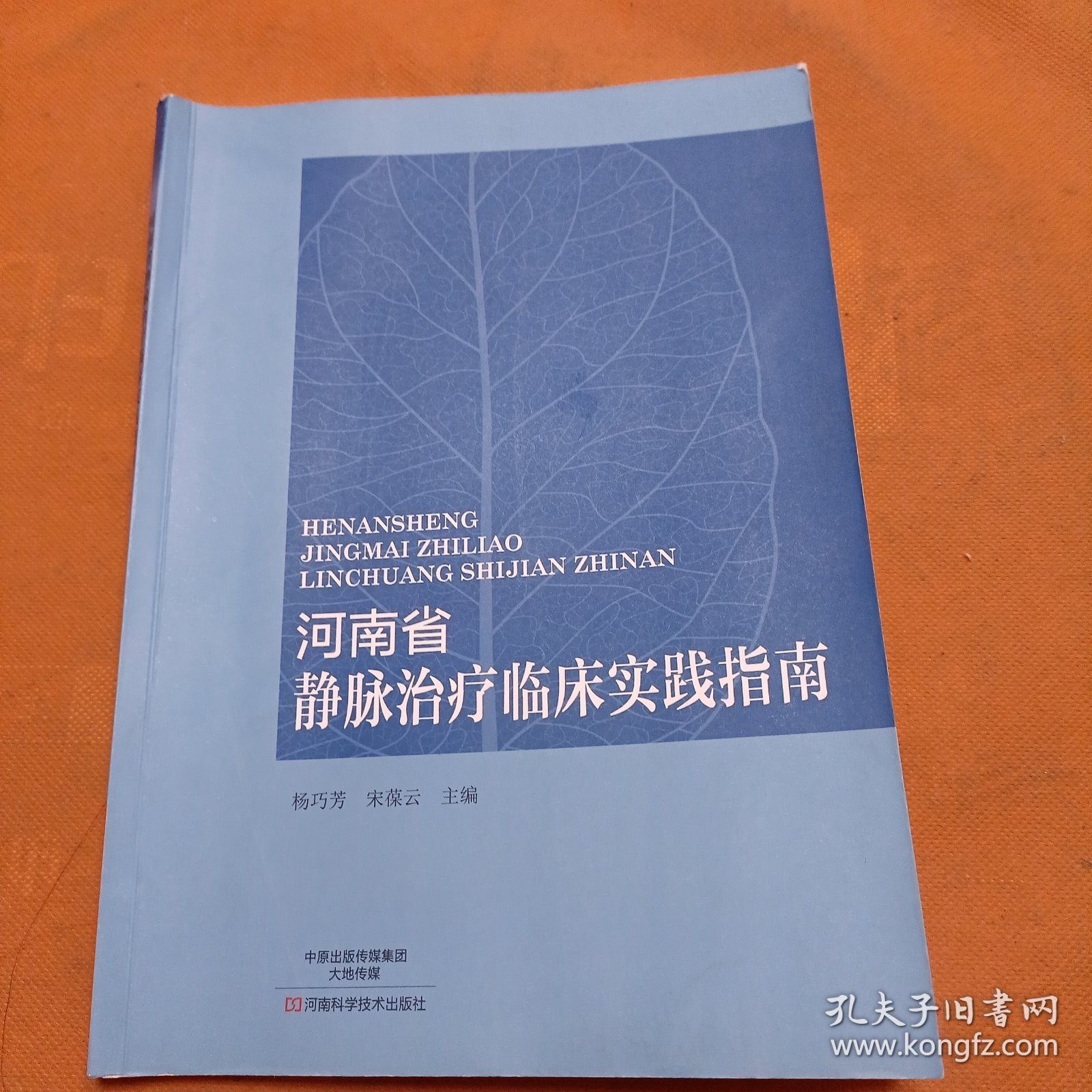 河南省静脉治疗临床实践指南