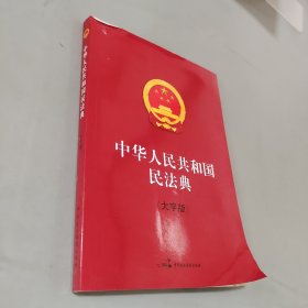 中华人民共和国民法典（大字版）