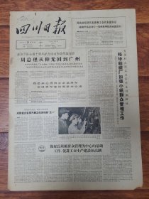 四川日报1965.4.29