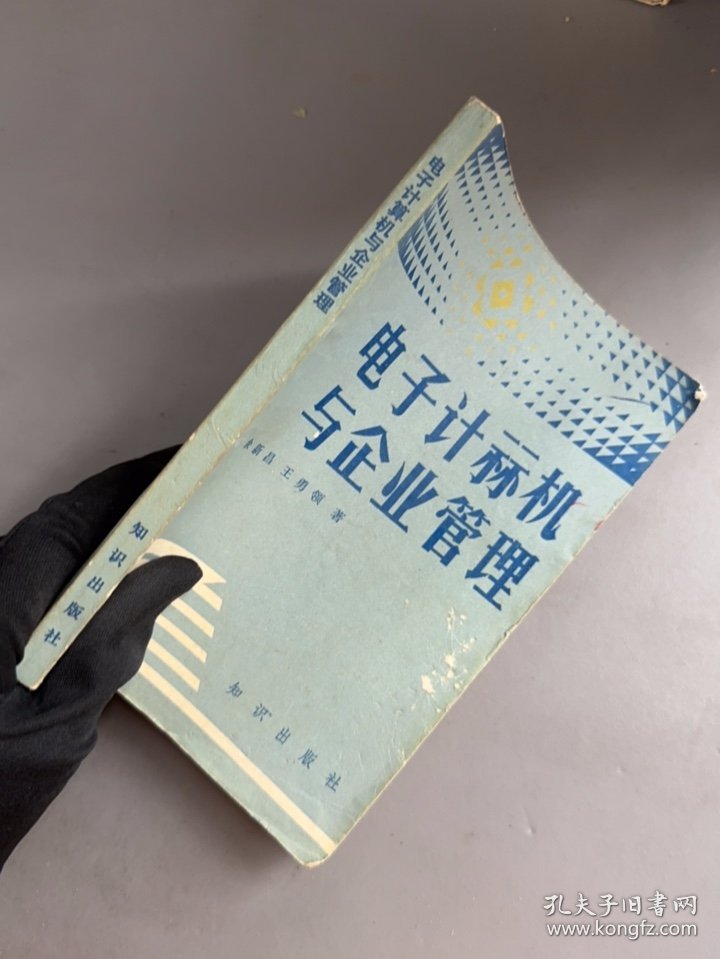 电子计算机与企业管理 佘新昌 知识出版社