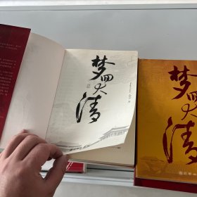 梦回大清 梦回大清：终结篇（2本合售）单套价格，没有笔记划线