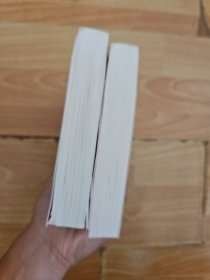 法益初论（上下 全两册）