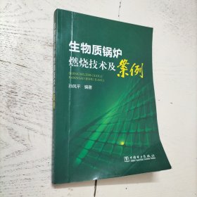 生物质锅炉燃烧技术及案例