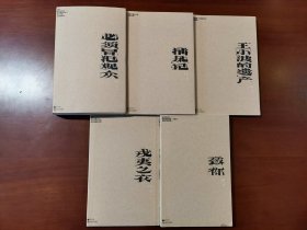 我害怕生活（全5册：01必须冒犯观众,02捕风记，03王小波的遗产，04致你，05戎夷之衣；单读新书017）