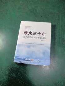 未来三十年：改革新常态下的关键问题