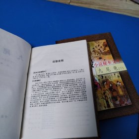 中国古代禁毁小说秘本文库：九尾龟（上下册，硬精装）