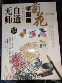 无师自通学国画 菊花