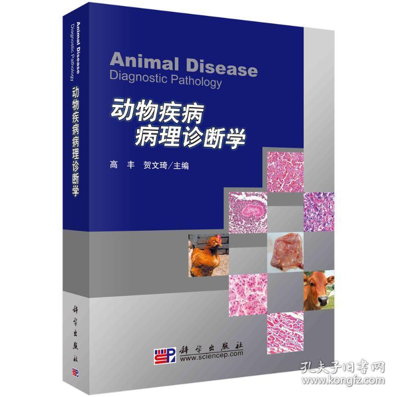 新华正版 动物疾病病理诊断学/高丰 高丰 9787030266538 科学出版社