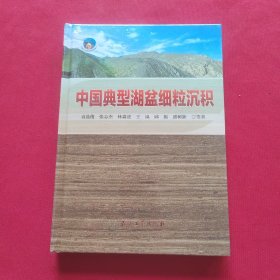 中国典型湖盆细粒沉积 全新未拆封