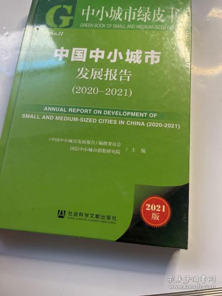 中小城市绿皮书：中国中小城市发展报告（2020-2021）