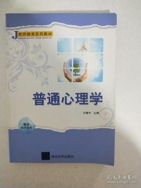 教师教育系列教材：普通心理学