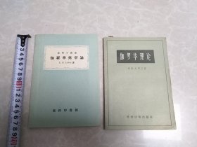 伽罗华理论，伽罗华与群论