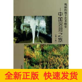瑰麗的地下藝術(shù)殿堂/中國溶洞之旅(第2版)
