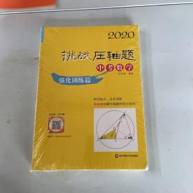 2020挑战压轴题·中考数学—强化训练篇