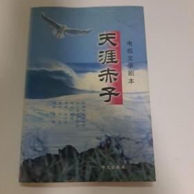 天涯赤子:8集电视连续剧(剧本)