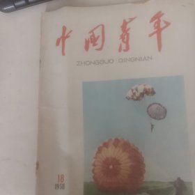 中国青年1958年18期