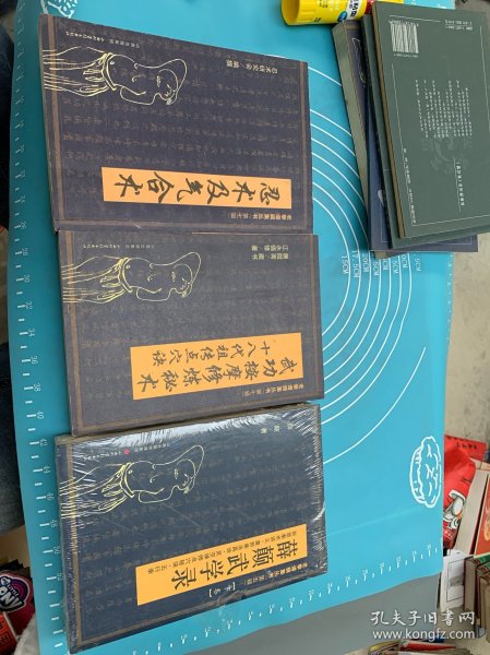 老拳谱辑集丛书：武功按摩修炼秘术十八代祖传点穴诀：十八代祖传点穴法 薛颠武学录 忍术及气合术（3本合售）