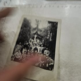 老照片：男女青年64年五一于岳麓山“爱晚亭”留念
