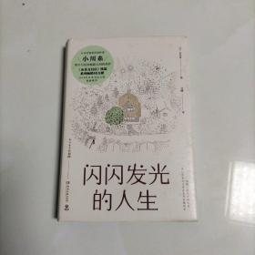 闪闪发光的人生