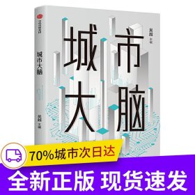 城市大腦