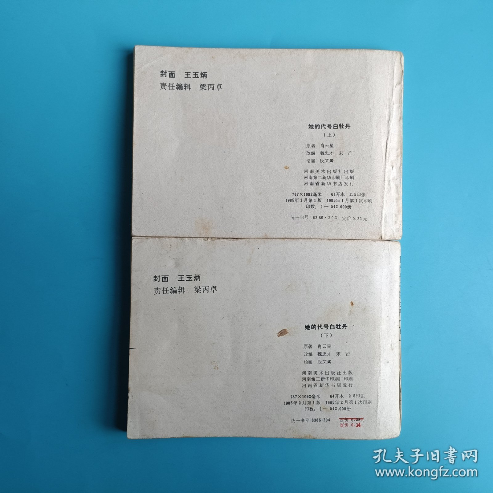 连环画 她的代号白牡丹（上下）