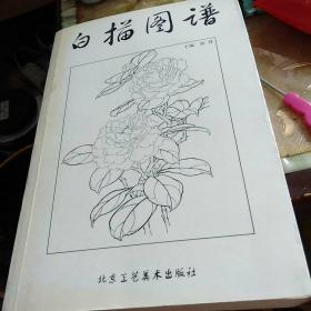 白描图谱