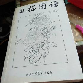 白描图谱