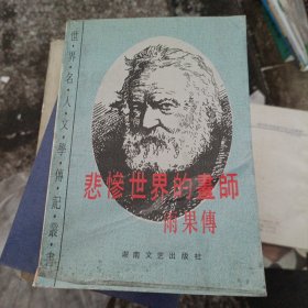 悲惨世界的画师：雨果传