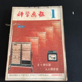 科学画报1981年全年12本