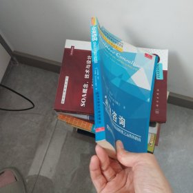 企业咨询：咨询业如何运转及如何使之运转的指南