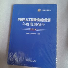 中国电力工程建设检验检测年度发展报告2024