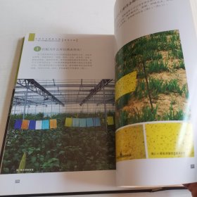 控制农业面源污染：减少农药用量防治蔬菜病虫实用技术指导手册