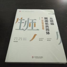 大夏书系·从班级到成长共同体：不一样的带班策略（班级管理新主张，缔造班级新生态）