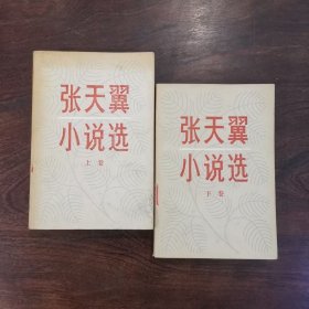 《张天翼小说选》上下卷