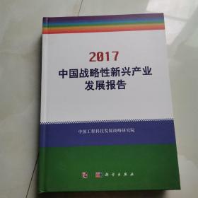 中国战略性新兴产业发展报告2017