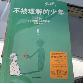 不被理解的少年