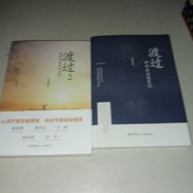 渡过：抑郁症治愈笔记+渡过2：接纳是最好的治愈 2册合售